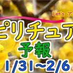 エネルギーに敏感な人のための週間スピリチュアルエネルギー予報1/31(月)～2/6(日)