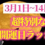 【開運日超ラッシュ】格別な2週間を味わいましょう✨素晴らしい毎日天運ウィーク💖