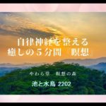 自律神経を整える　癒しの５分間『瞑想』【 池の水鳥 2202】