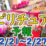 エネルギーに敏感な人のための週間スピリチュアルエネルギー予報2/21(月)～2/27(日)