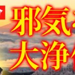【2月3日限定】節分スーパーデトックス💖今日1日で全ての邪気を払って運気を爆上げしよう✨