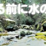 癒しの自然音×睡眠×王滝渓谷4　naturesounds　ASMR【4K・高音質】