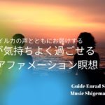 一日が心地良く過ごせる✨瞑想誘導✨ハワイのイルカの声と癒しの音楽に乗せて朝の5分間アファメーション瞑想