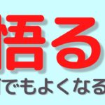 喜怒哀楽を無くせば悟れる？【スピリチュアル】/ アイダが考える パート6