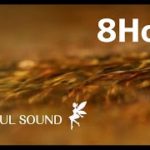 心地よい湧き水の音/癒し/リラックス/ASMR/睡眠/作業など 動画 8時間