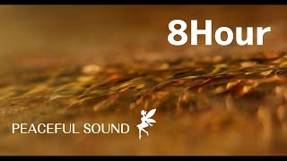 心地よい湧き水の音/癒し/リラックス/ASMR/睡眠/作業など 動画 8時間