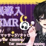 【ASMR 睡眠導入】関西弁亡霊さんからの、癒しタイム。(囁き・耳かき・耳マッサージ・タッピング)【Vtuber】