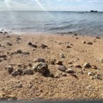 【毎朝更新★波音BGM】1月31日(火)毎朝久米島海大自然316ヒーリング音楽デジタルな自然作業用BGM・勉強用BGM・集中力BGM・睡眠用BGM・マインドフルネス朝ヨガBGM