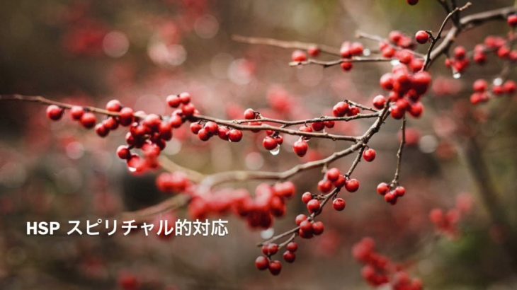 HSP スピリチュアル的対処