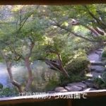 Mindfulness Chazen by Shirokane Yenyu Kai  白金円融会・マインドフルネス茶禅④