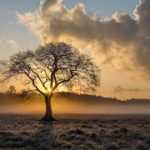 Peaceful,Relaxing,Beautiful Music, Sleep , relax BGM,睡眠,勉強,癒しBGM, 平和 ♡2