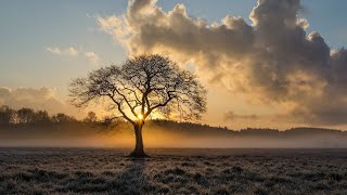 Peaceful,Relaxing,Beautiful Music, Sleep , relax BGM,睡眠,勉強,癒しBGM, 平和 ♡2