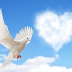 スピリチュアル　コーチ（Q&A)ライブ！