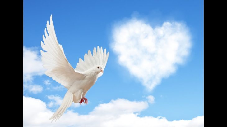 スピリチュアル　コーチ（Q&A)ライブ！