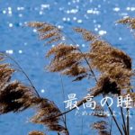 美しいピアノコレクション〜勉強、睡眠、癒しのためのリラックスできる音楽  • Relaxing Piano Music for Studying, Sleeping and Healing