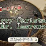 😍癒しの音！世界のクラシック音楽をスリットドラム で 🎼瞑想 Steel Tongue Drum #スリットドラム #楽器