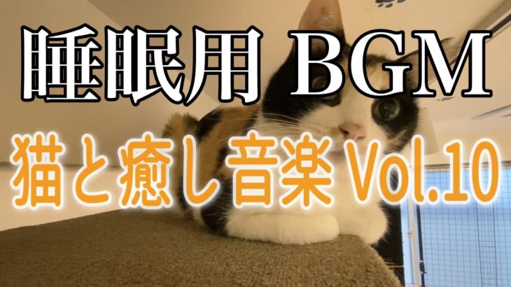 【睡眠用】猫と癒し音楽Vol.10　BGM音小さめ