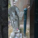 生きていることこそが本当の幸せ　#shorts 　#スピリチュアル