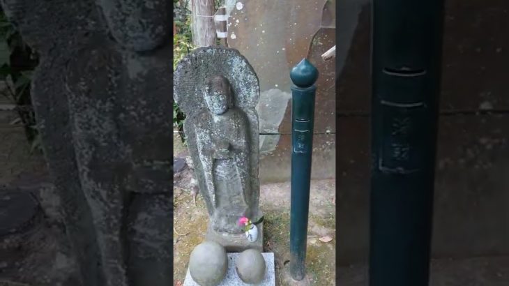 生きていることこそが本当の幸せ　#shorts 　#スピリチュアル