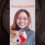 【引き寄せの法則のポイント】〜選択〜　#shorts #short #引き寄せ #スピリチュアル笑学校