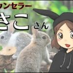 【認定カウンセラー紹介】うさこさん　/強力な縁結びをするナマケモノスピリチュアル
