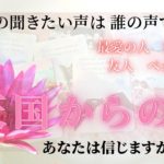 【天国からあなたへ】伝えたいメッセージ【スピリチュアル リーディング】