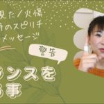 子鹿を見た／火傷をした。から受け取ったスピリチュアルメッセージ
