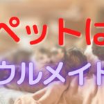 ペットにとっての幸せは、スピリチュアル的に考えてどちらが幸せ？