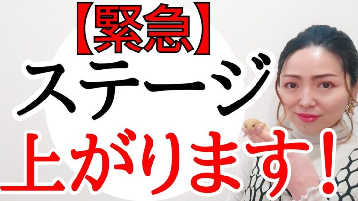 【今のうちに〇〇して下さい】宇宙の火力が高まっています‼️エンジェルズゲート＆立春直前メッセージ✨
