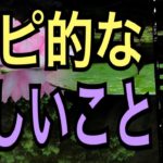 【やったー😆】スピリチュアル的な嬉しいことが起こる🌈オラクルカードリーディング✨スピリチュアルカードリーディング✨占い✨３択✨