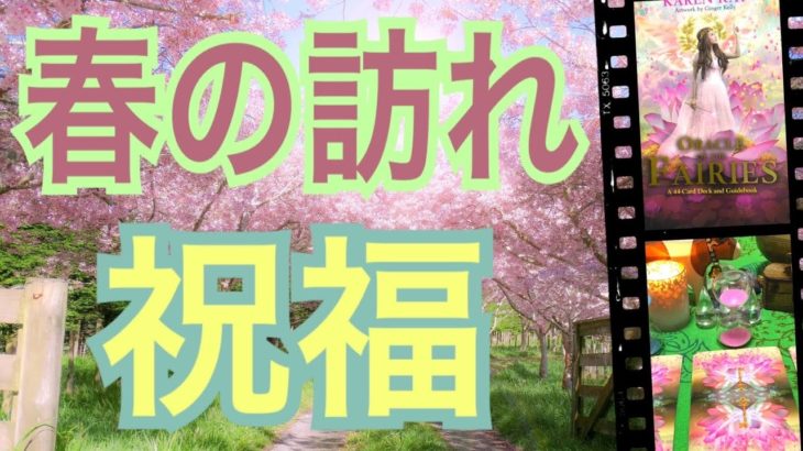 春の訪れ🌸と共にやってくる祝福😆🙌怖いほど当たる✨オラクルカードリーディング✨スピリチュアルカードリーディング✨占い✨３択✨