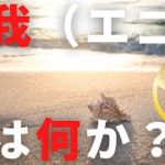 自我（エゴ）とは何か？【スピリチュアル】