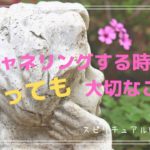 【スピリチュアルvlog ﻿】#23 チャネリングをする時にとても大切なこと