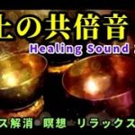 【演奏1時間　シンギングボウル】 極上の陽倍音～ストレス解消、瞑想、リラックス、睡眠　早春の風景