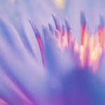 【10分間】瞑想、リラクゼーション、ヨガ、マッサージ、勉強、読書、睡眠、癒し、ストレス解消、仕事などちょっとだけ集中したいときにオススメなBGM