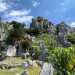 20220309大石林山スピリチュアルツアー