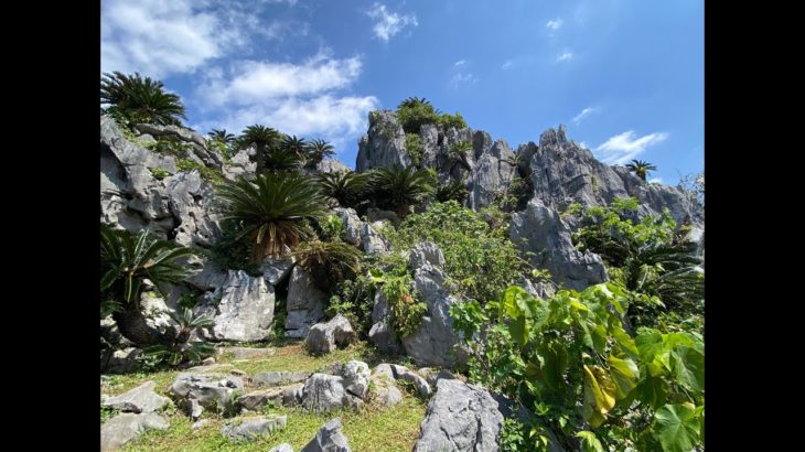 20220309大石林山スピリチュアルツアー