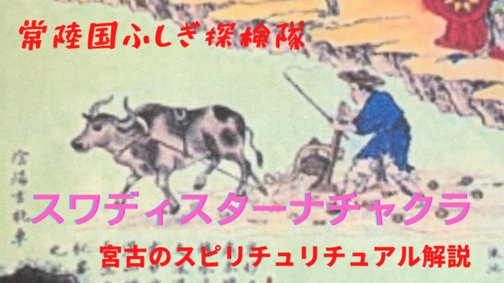 【宮古のスピリチュアル解説】3.チャクラについて。第二のチャクラ、スワディスタ－ナチャクラを名前の意味から新たな解釈をした