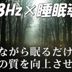 【528Hz・睡眠導入】ソルフェージュ周波数と静かな瞑想音楽は、あなたが高品質で眠っている間あなたを癒します。