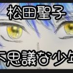 【スピリチュアルボイス】不思議な少年/松田聖子　COVER　桃乃花