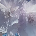 春分ライブ✨🌐akikospiritual