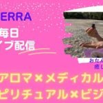 doTERRA【アロマ✖メディカル✖スピリチュアル✖ビジネス】産後のホルモンバランス