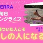 doTERRA【アロマ✖スピリチュアル✖メディカル✖ビジネス】