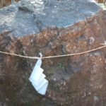 スピリチュアルなラジオ📻 freedom 🐬🐋🌈🌺🌴🌊