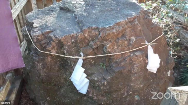 スピリチュアルなラジオ📻 freedom 🐬🐋🌈🌺🌴🌊