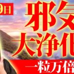 【邪気デトックス】運気が激変する邪気払い一粒万倍日✨超強力なパワーを引き寄せる💖