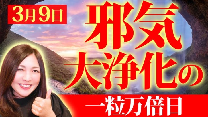 【邪気デトックス】運気が激変する邪気払い一粒万倍日✨超強力なパワーを引き寄せる💖