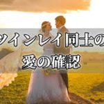 ツインレイ同士の愛の確認…二人の愛は宇宙へ繋がる～スピリチュアル【チャンネルダイス】音声付き