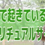 実は魂がレベルアップしているメッセージ！身近に起きているスピリチュアルサイン！