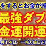 【一粒万倍日×寅の日】お金がドーンと舞い降りる最強ダブル開運日✨金運パワーが体中にみなぎります💖
